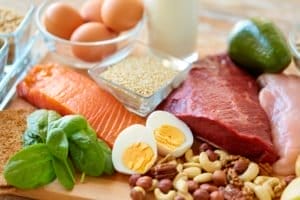 Protein Sources